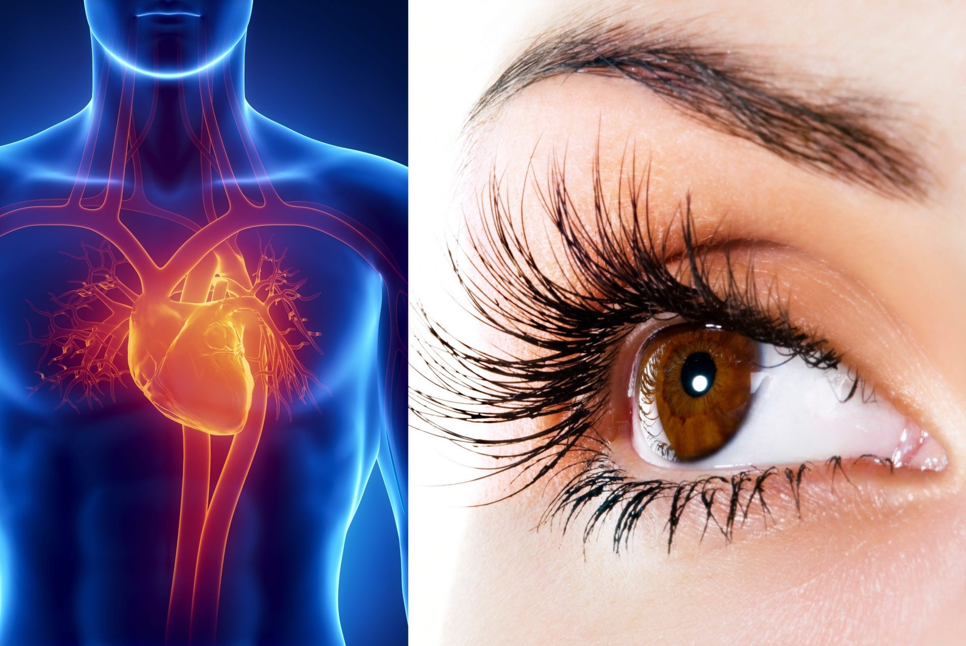 Mối tương quan giữa bệnh tim mạch và sức khỏe mắt