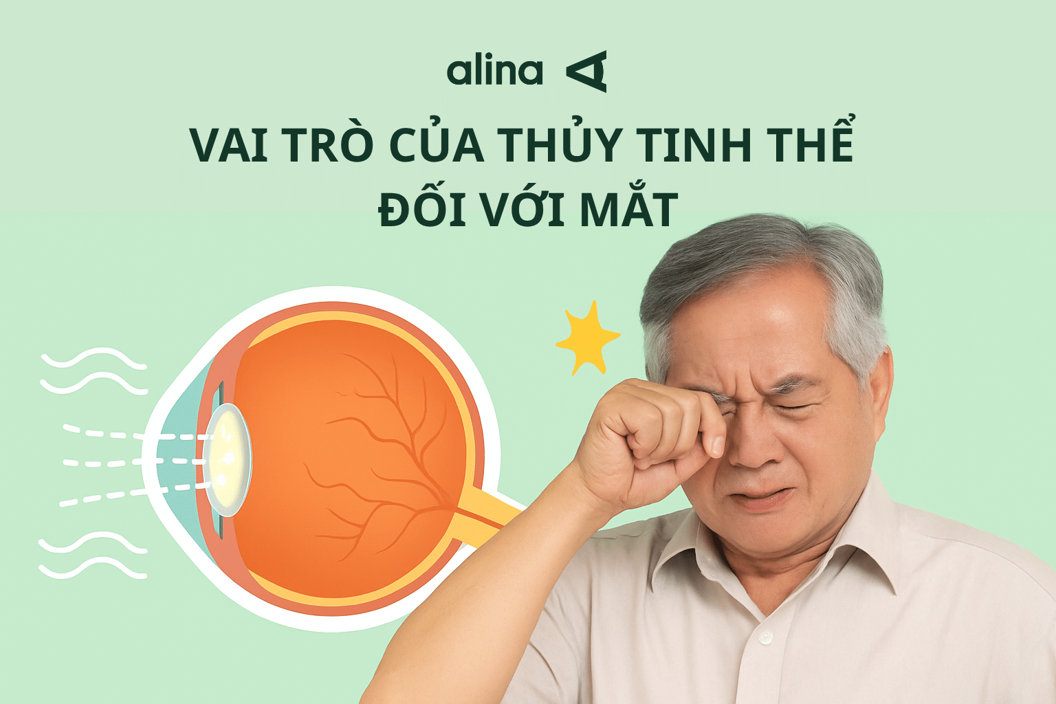 Vai trò của thủy tinh thể: “Ống kính” quyết định thị lực của đôi mắt